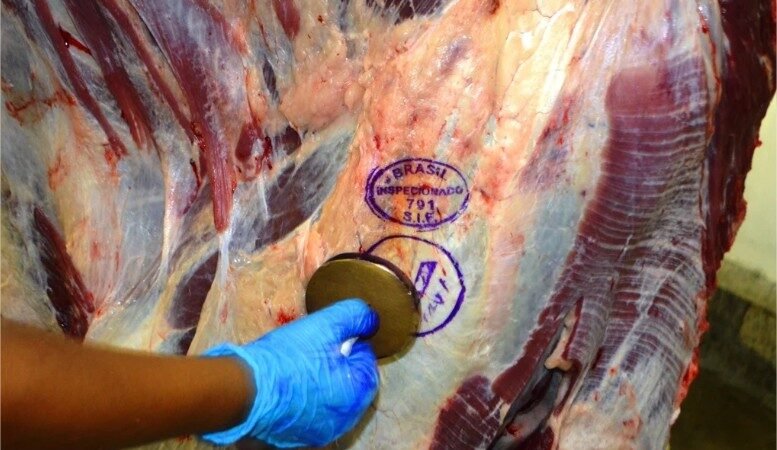 Pecuária de Mato Grosso lidera exportações de carne bovina em 2026