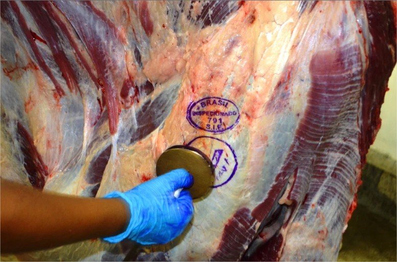 Pecuária de Mato Grosso lidera exportações de carne bovina em 2026