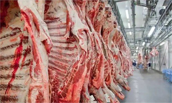 UE suspende compras de carnes e outros produtos do Brasil; setor agropecuário aguarda reversão do embargo