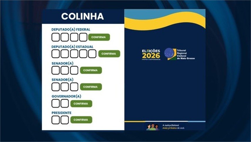 Baixe aqui sua colinha para impressão e vote com tranquilidade
