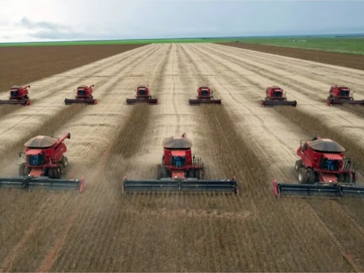 MT tem crescimento de R$ 37% na produção agrícola e alcança valor de R$ 165,6 bilhões