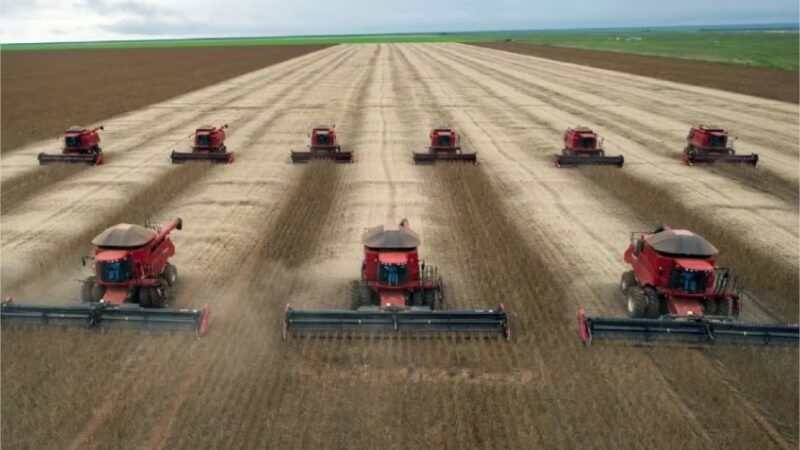 MT tem crescimento de R$ 37% na produção agrícola e alcança valor de R$ 165,6 bilhões