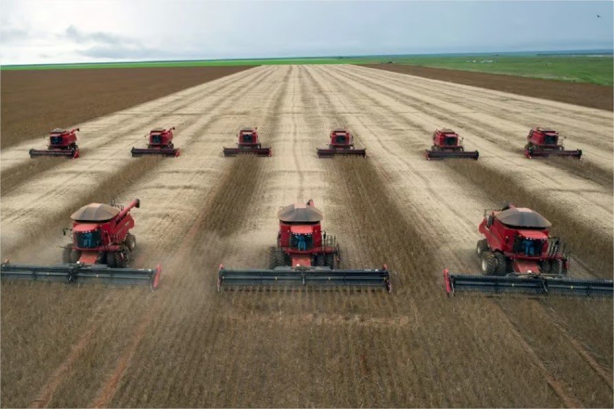 MT tem crescimento de R$ 37% na produção agrícola e alcança valor de R$ 165,6 bilhões