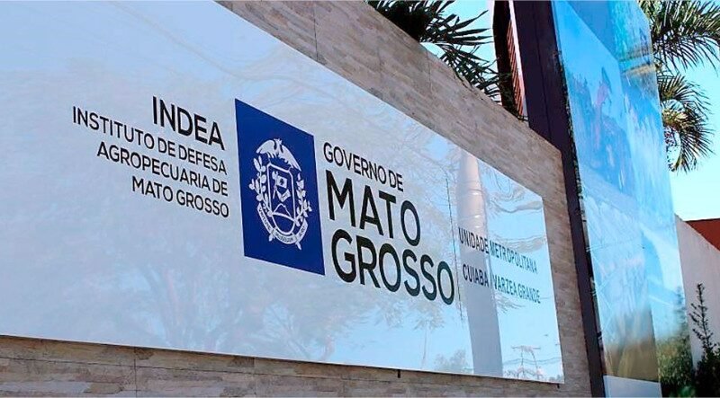 Indea confirma 6 casos de raiva animal em cavalos e bovinos em duas cidades de Mato Grosso