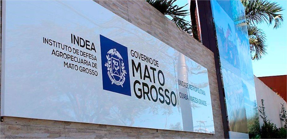 Indea confirma 6 casos de raiva animal em cavalos e bovinos em duas cidades de Mato Grosso