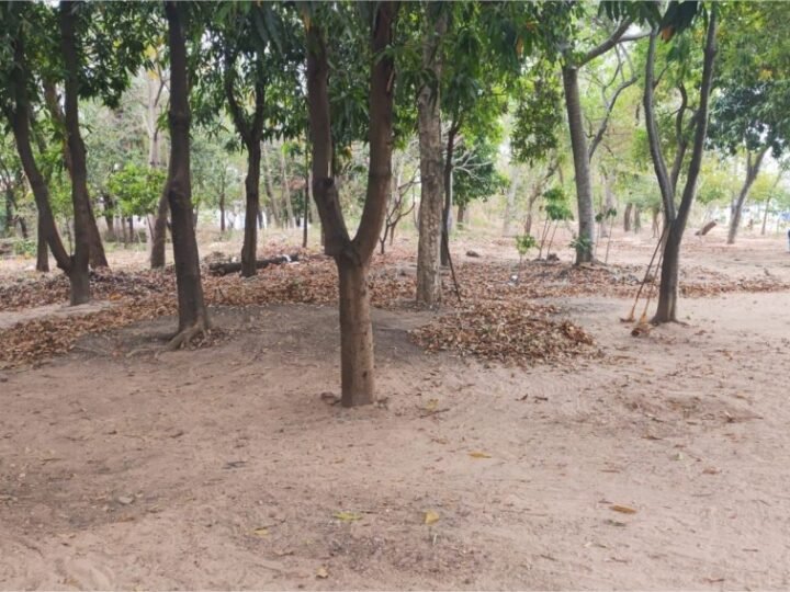 Jardim Universitário é contemplado nesta semana com limpeza e capinação de área pública