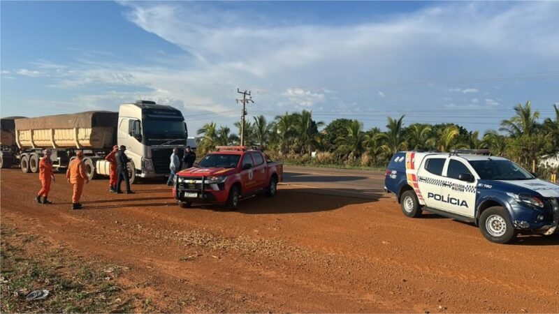 Polícia Militar localiza área de desmatamento irregular e apreende mais de 100 toras de madeira