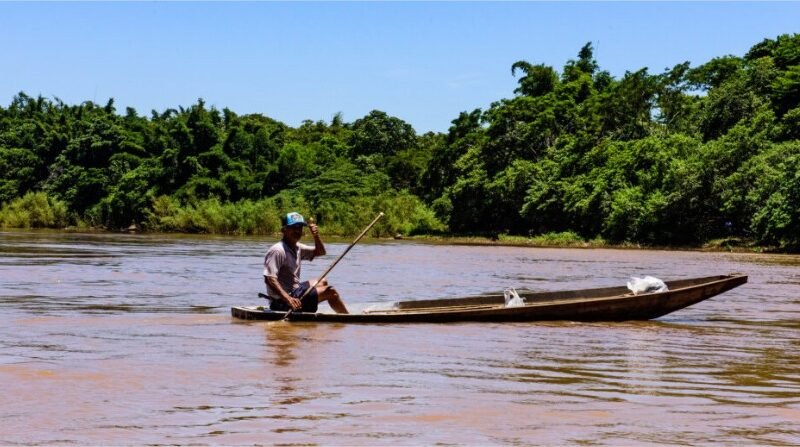 Piracema inicia na 5ª e Sema alerta sobre declaração obrigatória de peixes armazenados