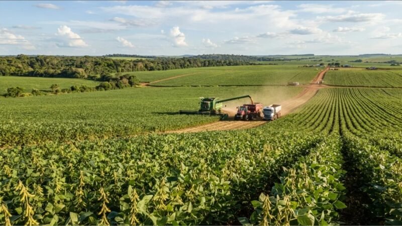 Soja terá custo de R$ 8,17 mil por hectare em Mato Grosso