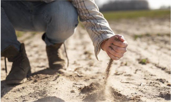 Mais produtividade por hectare coloca correção do solo no centro do agro de MT