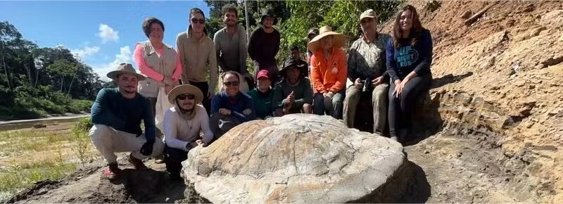 O dia em que brasileiros encontraram o fóssil da maior tartaruga de água doce do mundo