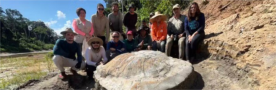 O dia em que brasileiros encontraram o fóssil da maior tartaruga de água doce do mundo