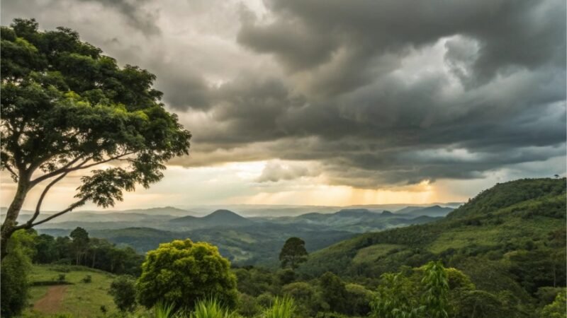 Calor de até 41°C domina Mato Grosso nesta terça (15)