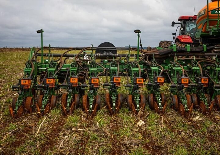 Fim do vazio sanitário em MT: El Niño aumenta atenção para início do plantio de soja após