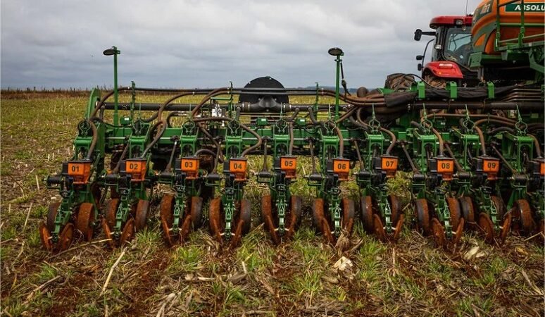 Fim do vazio sanitário em MT: El Niño aumenta atenção para início do plantio de soja após