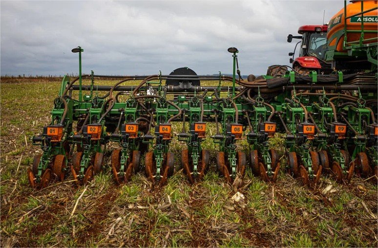Fim do vazio sanitário em MT: El Niño aumenta atenção para início do plantio de soja após