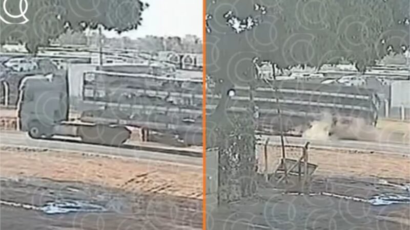 Câmera registra momento que caminhão de porcos cai na Imigrantes antes de ser saqueado; veja vídeo