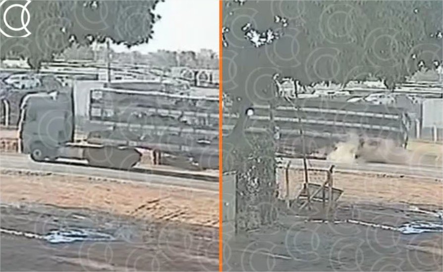 Câmera registra momento que caminhão de porcos cai na Imigrantes antes de ser saqueado; veja vídeo