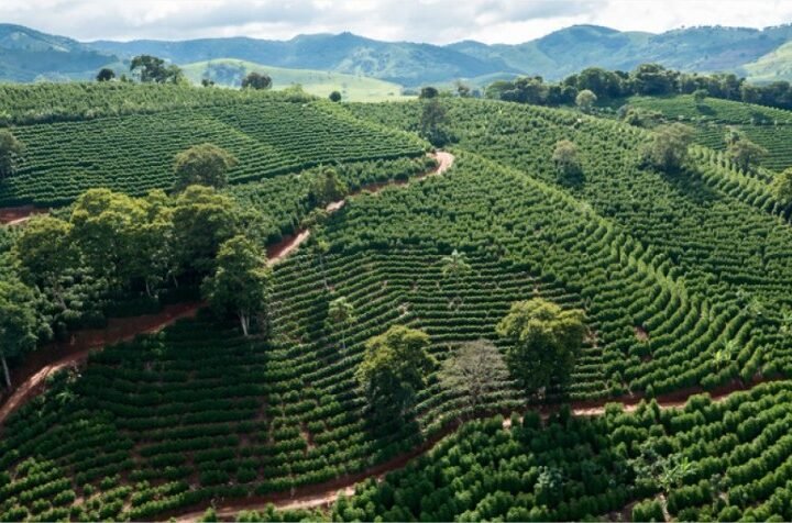 Agro exporta R$ 45,6 bilhões e mantém 3º lugar no país