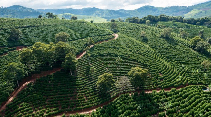 Agro exporta R$ 45,6 bilhões e mantém 3º lugar no país