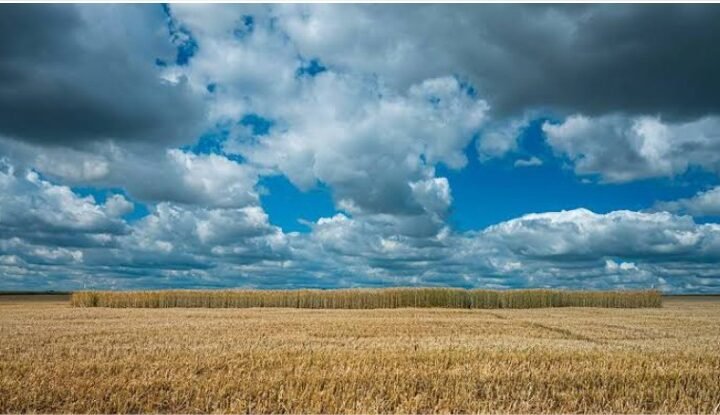 El Niño desafia o campo e reforça importância da correção do solo