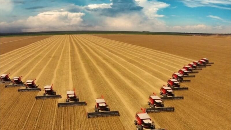 Agronegócio lidera crescimento da economia com alta de 2,8% no segundo trimestre