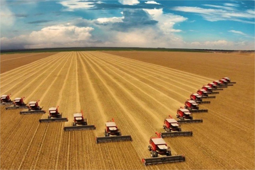 Agronegócio lidera crescimento da economia com alta de 2,8% no segundo trimestre
