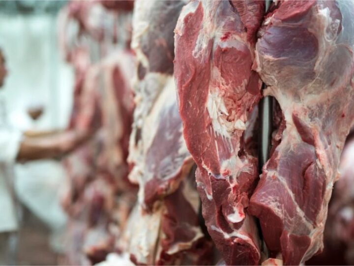 Exportações de carne bovina crescem 5% em setembro, mas ainda recuam 32% no ano