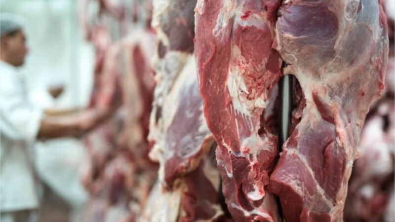 Exportações de carne bovina crescem 5% em setembro, mas ainda recuam 32% no ano