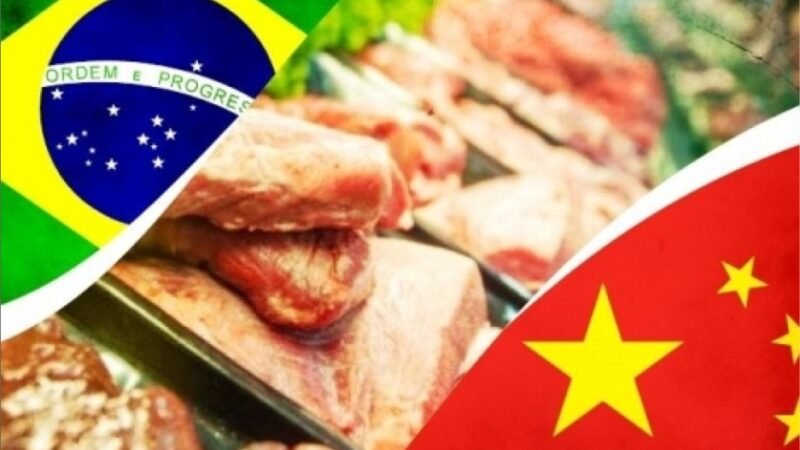 China impõe tarifa de 55% e agrava pressão sobre carne brasileira já barrada na Europa