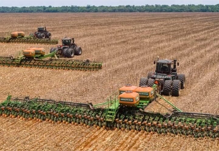 Plantio chega a 0,5% entre calor, seca, frio e excesso de chuvas