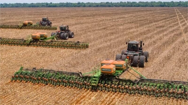 Plantio chega a 0,5% entre calor, seca, frio e excesso de chuvas