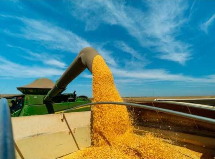 Safra de soja pode bater recorde, mas crédito é desafio para produtores