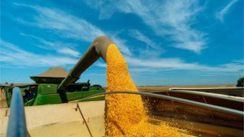 Safra de soja pode bater recorde, mas crédito é desafio para produtores