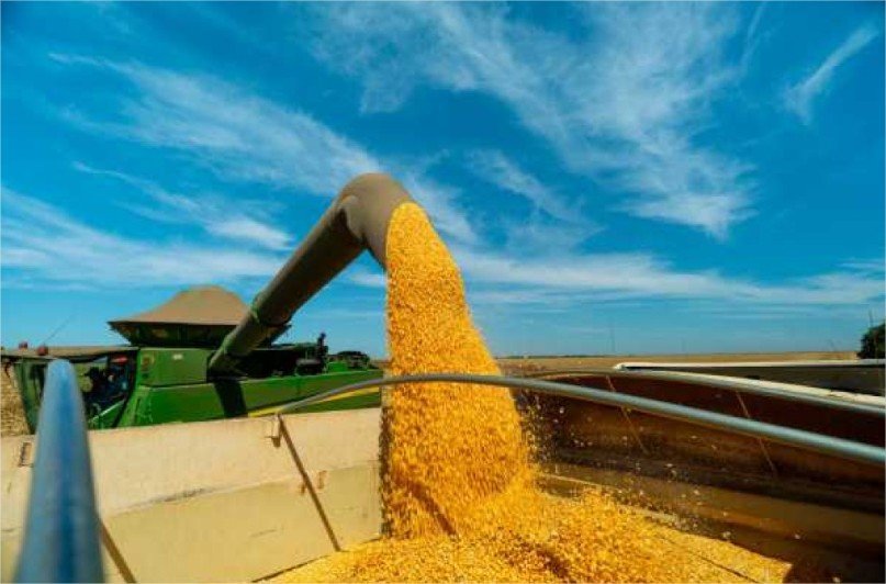 Safra de soja pode bater recorde, mas crédito é desafio para produtores
