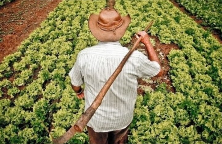 Projeto para proteger pequena propriedade abre debate sobre acesso ao crédito rural