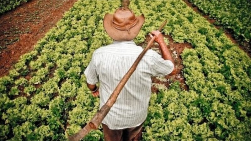 Projeto para proteger pequena propriedade abre debate sobre acesso ao crédito rural