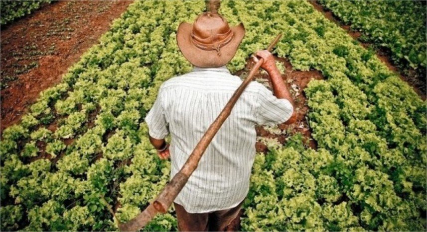 Projeto para proteger pequena propriedade abre debate sobre acesso ao crédito rural