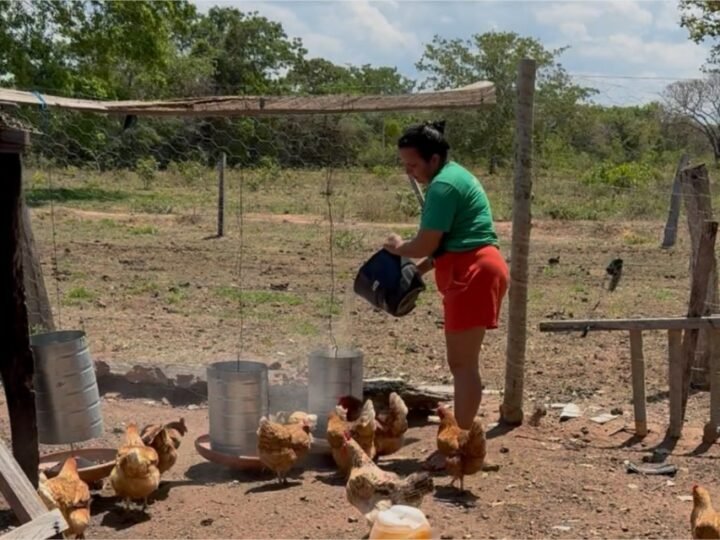 Investimento de R$ 1 bilhão impulsiona a agricultura familiar em Mato Grosso