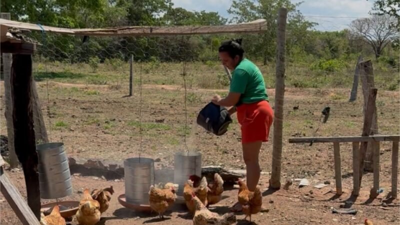 Investimento de R$ 1 bilhão impulsiona a agricultura familiar em Mato Grosso