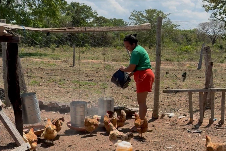 Investimento de R$ 1 bilhão impulsiona a agricultura familiar em Mato Grosso