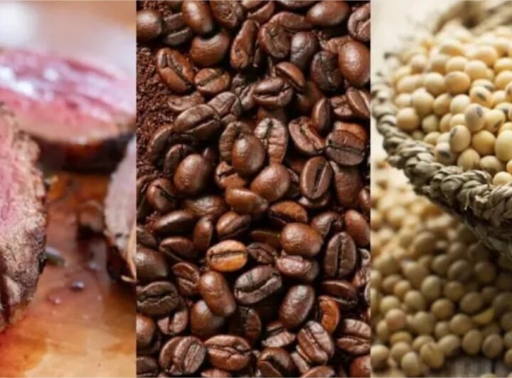 Exportadores têm menos de três meses para adequar produtos à regra antidesmatamento da UE