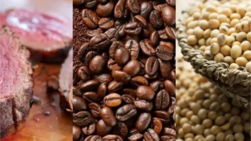 Exportadores têm menos de três meses para adequar produtos à regra antidesmatamento da UE