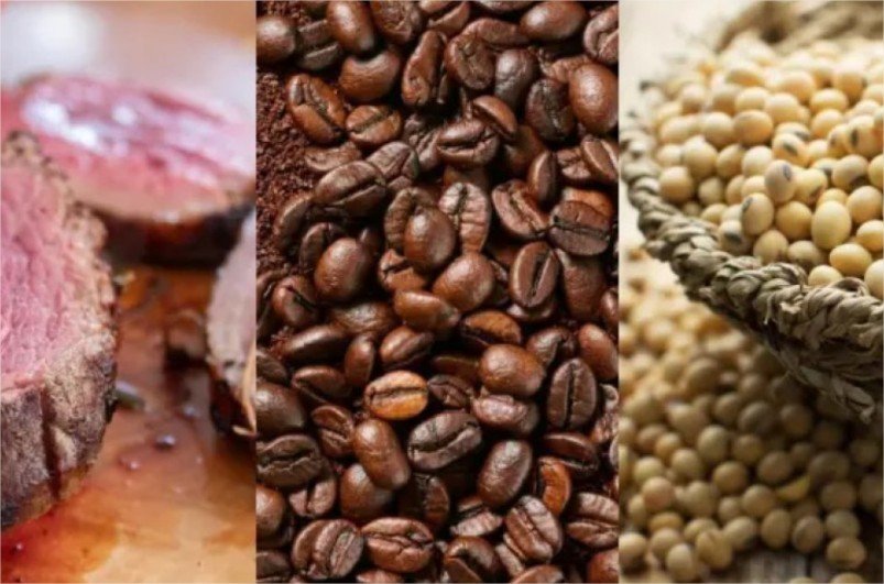 Exportadores têm menos de três meses para adequar produtos à regra antidesmatamento da UE