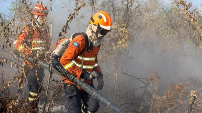 MT registra redução de 82% nos focos de calor; menor número para o mês de setembro desde 1998