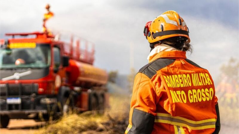 Corpo de Bombeiros combate quatro incêndios florestais nesta terça-feira (13)