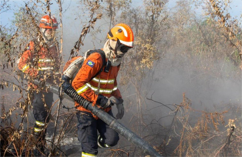 MT registra redução de 82% nos focos de calor; menor número para o mês de setembro desde 1998