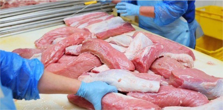 Exportações de carne suína crescem 6,2% e chegam a 1,19 milhão de toneladas até setembro