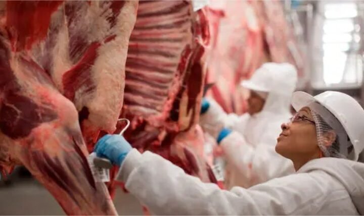 Exportações de carne bovina em Sinop crescem 27% em 2026 e superam todo o volume de 2025