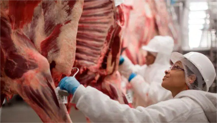 Exportações de carne bovina em Sinop crescem 27% em 2026 e superam todo o volume de 2025